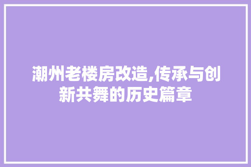 潮州老楼房改造,传承与创新共舞的历史篇章