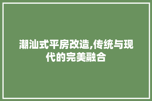 潮汕式平房改造,传统与现代的完美融合 墙体维修