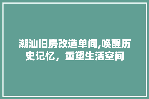 潮汕旧房改造单间,唤醒历史记忆，重塑生活空间 厨房维修
