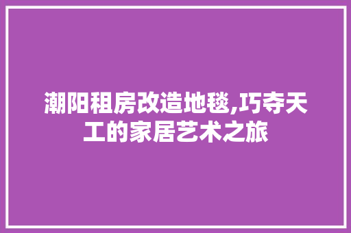 潮阳租房改造地毯,巧夺天工的家居艺术之旅 家电维修