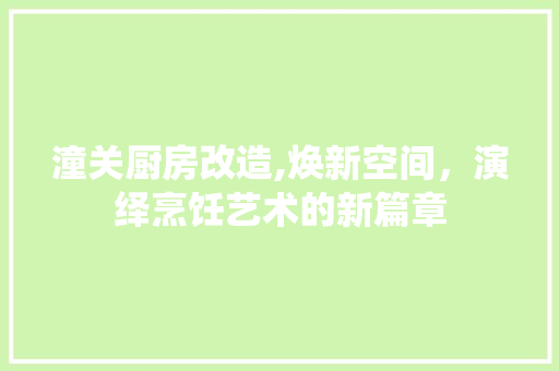 潼关厨房改造,焕新空间，演绎烹饪艺术的新篇章