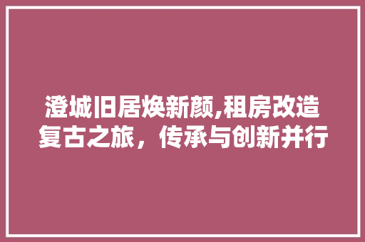 澄城旧居焕新颜,租房改造复古之旅，传承与创新并行