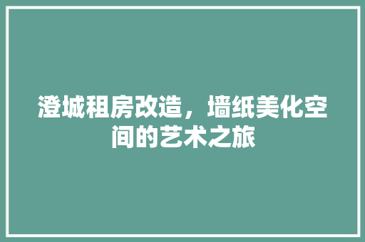 澄城租房改造，墙纸美化空间的艺术之旅