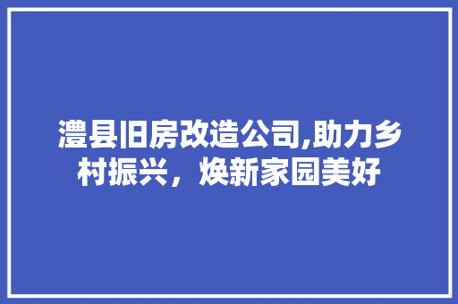 澧县旧房改造公司,助力乡村振兴，焕新家园美好