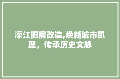 濠江旧房改造,焕新城市肌理，传承历史文脉 汽车维修