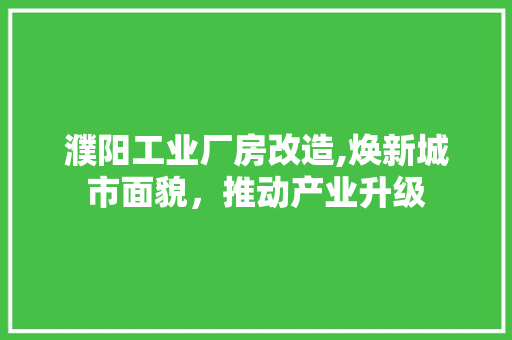 濮阳工业厂房改造,焕新城市面貌，推动产业升级