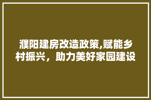 濮阳建房改造政策,赋能乡村振兴，助力美好家园建设