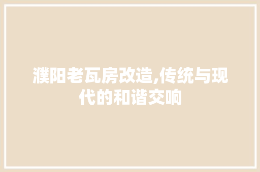 濮阳老瓦房改造,传统与现代的和谐交响 墙体维修