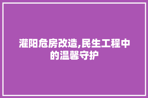 灌阳危房改造,民生工程中的温馨守护 汽车维修
