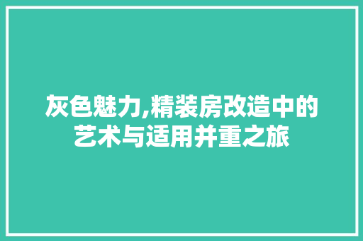 灰色魅力,精装房改造中的艺术与适用并重之旅 墙体维修