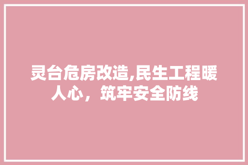 灵台危房改造,民生工程暖人心，筑牢安全防线 家电维修