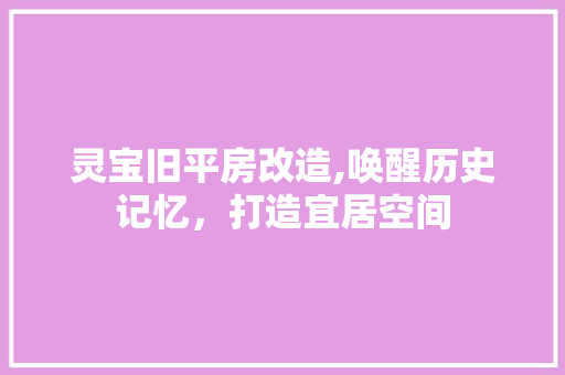灵宝旧平房改造,唤醒历史记忆，打造宜居空间 汽车维修