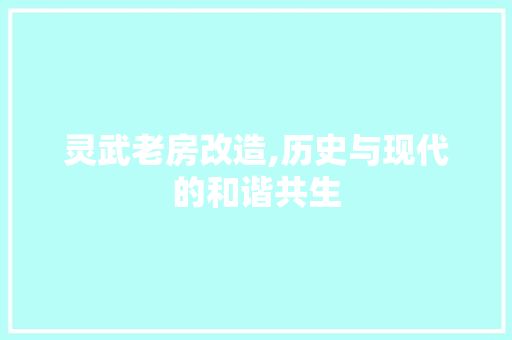 灵武老房改造,历史与现代的和谐共生 汽车维修