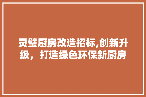 灵璧厨房改造招标,创新升级，打造绿色环保新厨房