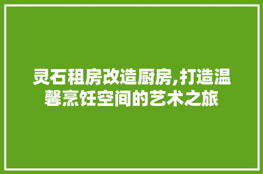 灵石租房改造厨房,打造温馨烹饪空间的艺术之旅