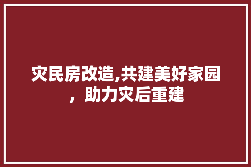 灾民房改造,共建美好家园，助力灾后重建