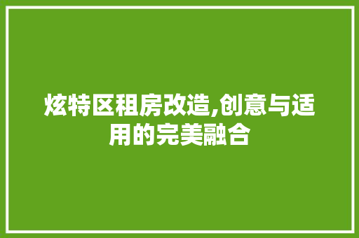 炫特区租房改造,创意与适用的完美融合 厨房维修