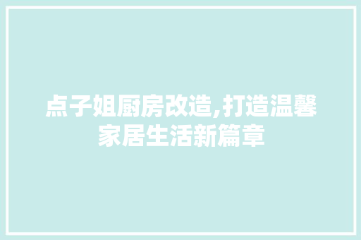 点子姐厨房改造,打造温馨家居生活新篇章 厨房维修