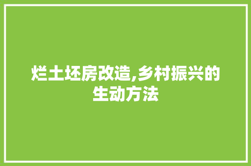 烂土坯房改造,乡村振兴的生动方法