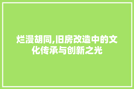 烂漫胡同,旧房改造中的文化传承与创新之光