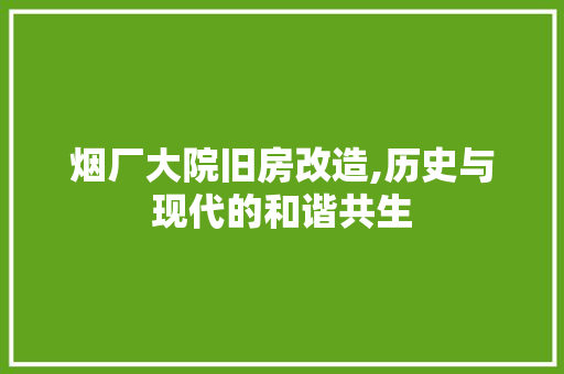 烟厂大院旧房改造,历史与现代的和谐共生