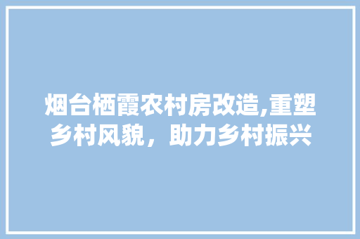 烟台栖霞农村房改造,重塑乡村风貌，助力乡村振兴 墙体维修