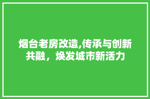 烟台老房改造,传承与创新共融，焕发城市新活力 综合便民
