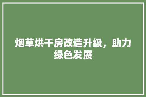 烟草烘干房改造升级，助力绿色发展