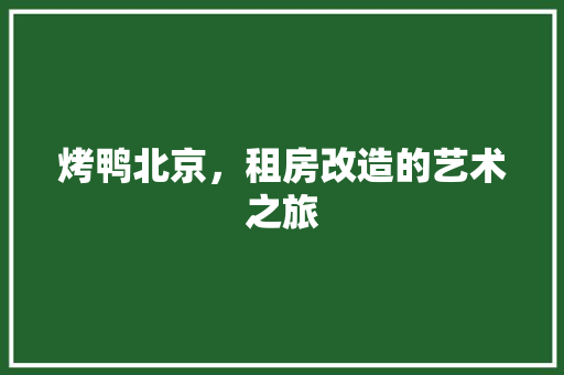 烤鸭北京，租房改造的艺术之旅 厨房维修