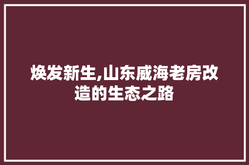 焕发新生,山东威海老房改造的生态之路 墙体维修