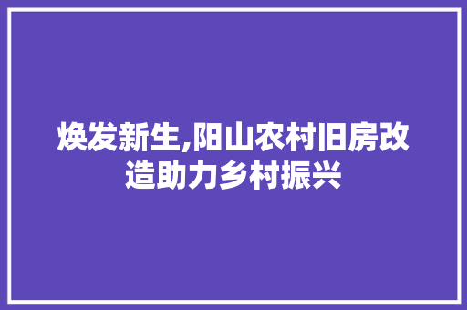 焕发新生,阳山农村旧房改造助力乡村振兴 厨房维修
