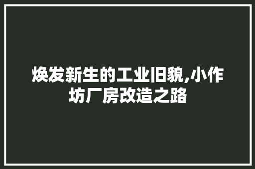 焕发新生的工业旧貌,小作坊厂房改造之路