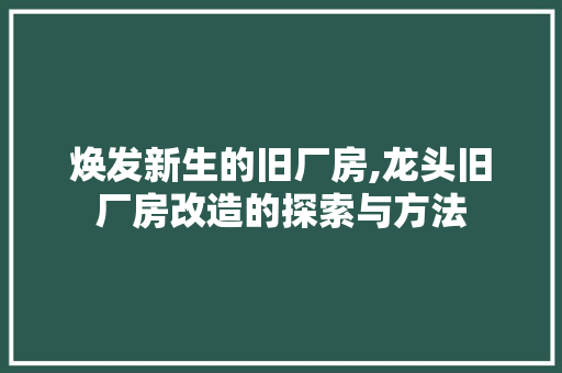 焕发新生的旧厂房,龙头旧厂房改造的探索与方法