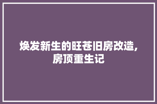 焕发新生的旺苍旧房改造,房顶重生记