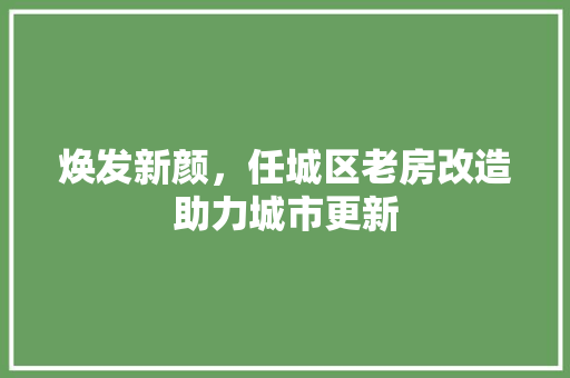 焕发新颜，任城区老房改造助力城市更新