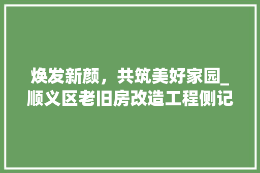 焕发新颜，共筑美好家园_顺义区老旧房改造工程侧记 综合便民