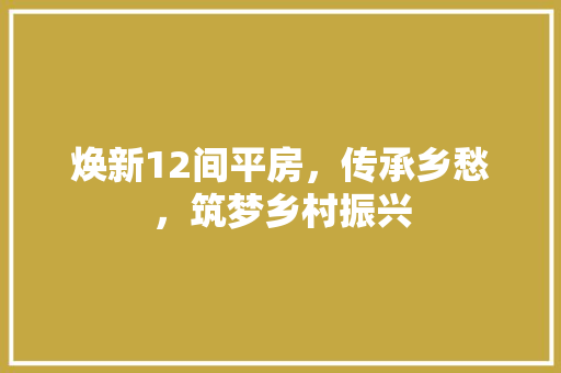 焕新12间平房，传承乡愁，筑梦乡村振兴