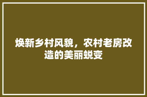 焕新乡村风貌，农村老房改造的美丽蜕变
