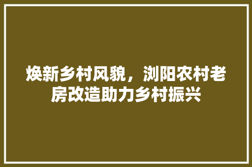 焕新乡村风貌，浏阳农村老房改造助力乡村振兴 家电维修