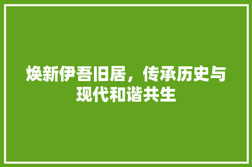 焕新伊吾旧居，传承历史与现代和谐共生