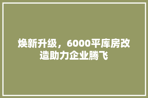 焕新升级，6000平库房改造助力企业腾飞