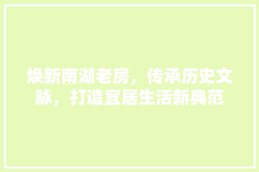 焕新南湖老房，传承历史文脉，打造宜居生活新典范