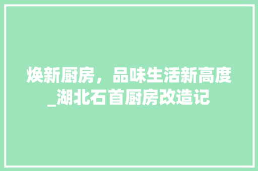 焕新厨房，品味生活新高度_湖北石首厨房改造记