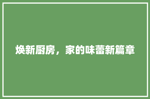 焕新厨房，家的味蕾新篇章 综合便民