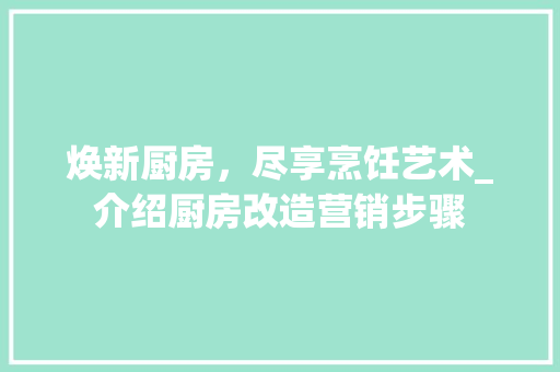焕新厨房，尽享烹饪艺术_介绍厨房改造营销步骤