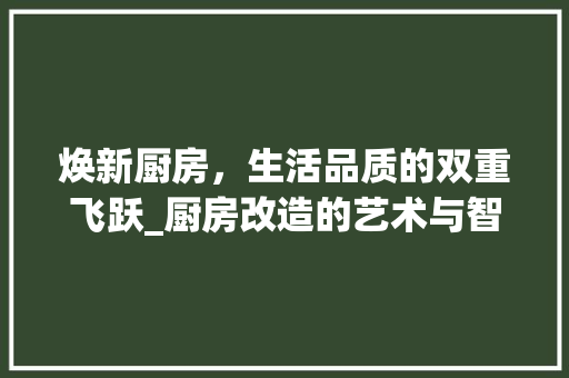 焕新厨房，生活品质的双重飞跃_厨房改造的艺术与智慧