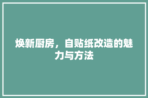 焕新厨房，自贴纸改造的魅力与方法
