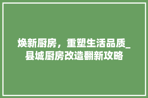焕新厨房，重塑生活品质_县城厨房改造翻新攻略