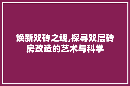 焕新双砖之魂,探寻双层砖房改造的艺术与科学