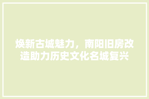 焕新古城魅力，南阳旧房改造助力历史文化名城复兴